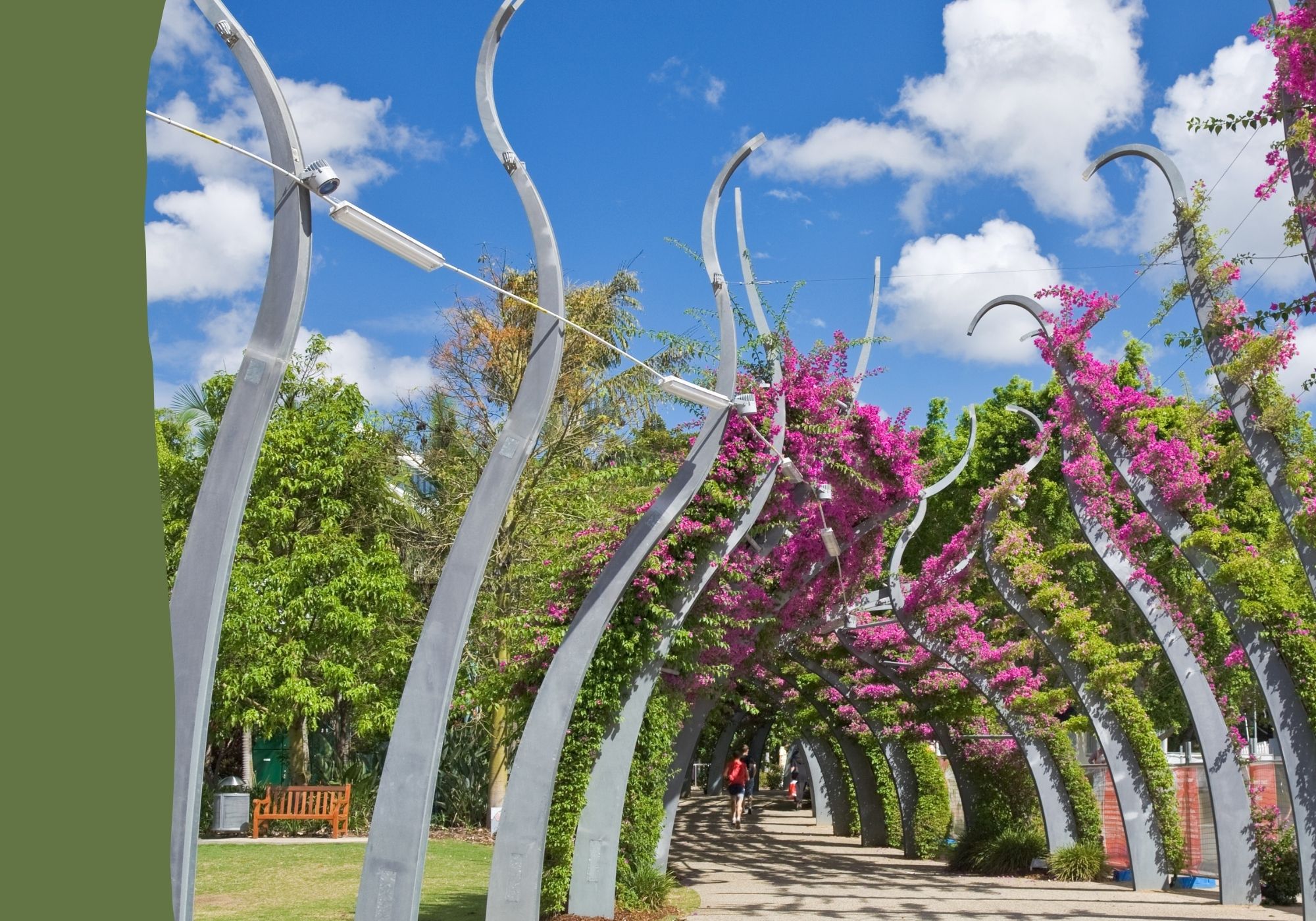 North brisbane psychology services you can rely on